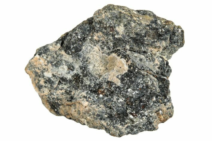 Howardite Meteorite (g) - Bechar #286997